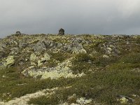 N, Oppland, Sel, Karihaugen 5, Saxifraga-Willem van Kruijsbergen