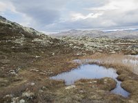 N, Oppland, Sel, Klufttjonne 25, Saxifraga-Willem van Kruijsbergen