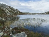 N, Oppland, Sel, Klufttjonne 42, Saxifraga-Annemiek Bouwman