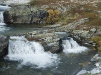 N, Oppland, Sel, Peer Gynt Hytta 157, Saxifraga-Annemiek Bouwman