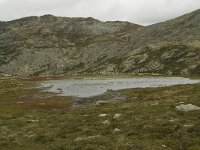 N, Oppland, Sel, Solsidevassberget 1, Saxifraga-Willem van Kruijsbergen