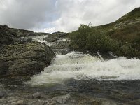 N, Oppland, Sel, Vesle Ula 5, Saxifraga-Willem van Kruijsbergen