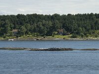 N, Oslo, Oslofjord 3, Saxifraga-Willem van Kruijsbergen