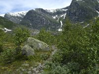 N, Sogn og Fjordane, Luster, Austerdalen 5, Saxifraga-Willem van Kruijsbergen