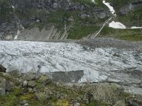 N, Sogn og Fjordane, Luster, Austerdalsbreen 2, Saxifraga-Willem van Kruijsbergen