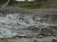 N, Sogn og Fjordane, Luster, Austerdalsbreen 3, Saxifraga-Annemiek Bouwman