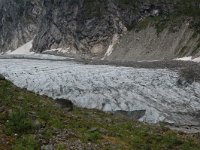 N, Sogn og Fjordane, Luster, Austerdalsbreen 4, Saxifraga-Annemiek Bouwman