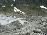 N, Sogn og Fjordane, Luster, Austerdalsbreen 6, Saxifraga-Willem van Kruijsbergen