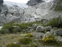 N, Sogn og Fjordane, Luster, Bergsetbreen 11, Saxifraga-Willem van Kruijsbergen