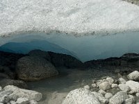 N, Sogn og Fjordane, Luster, Bergsetbreen 12, Saxifraga-Willem van Kruijsbergen