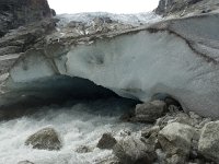 N, Sogn og Fjordane, Luster, Bergsetbreen 15, Saxifraga-Willem van Kruijsbergen