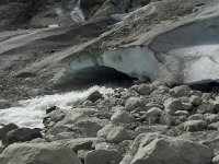 N, Sogn og Fjordane, Luster, Bergsetbreen 18, Saxifraga-Willem van Kruijsbergen