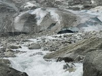 N, Sogn og Fjordane, Luster, Bergsetbreen 19, Saxifraga-Willem van Kruijsbergen