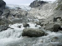 N, Sogn og Fjordane, Luster, Bergsetbreen 23, Saxifraga-Willem van Kruijsbergen