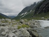 N, Sogn og Fjordane, Luster, Bergsetdalen 1, Saxifraga-Willem van Kruijsbergen