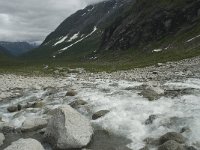 N, Sogn og Fjordane, Luster, Bergsetdalen 3, Saxifraga-Willem van Kruijsbergen