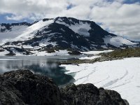 N, Sogn og Fjordane, Luster, Fanaraki 2, Saxifraga-Willem van Kruijsbergen