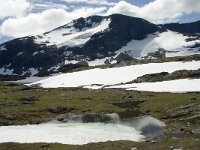 N, Sogn og Fjordane, Luster, Fanaraki 4, Saxifraga-Willem van Kruijsbergen