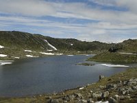 N, Sogn og Fjordane, Luster, Galgebergstjornane 1, Saxifraga-Willem van Kruijsbergen