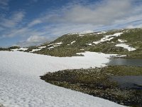 N, Sogn og Fjordane, Luster, Galgebergstjornane 2, Saxifraga-Willem van Kruijsbergen