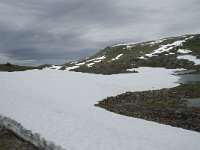 N, Sogn og Fjordane, Luster, Galgebergstjornane 4, Saxifraga-Willem van Kruijsbergen