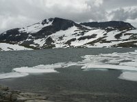 N, Sogn og Fjordane, Luster, Hervavatnet 3, Saxifraga-Willem van Kruijsbergen