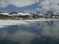 N, Sogn og Fjordane, Luster, Korpen 3, Saxifraga-Willem van Kruijsbergen