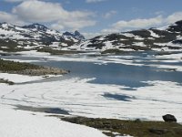 N, Sogn og Fjordane, Luster, Korpen 8, Saxifraga-Willem van Kruijsbergen