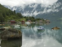 N, Sogn og Fjordane, Luster, Lustrafjorden 1, Saxifraga-Willem van Kruijsbergen