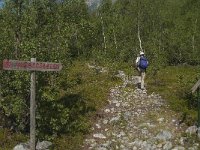 N, Sogn og Fjordane, Luster, Nigardsbreen 1, Saxifraga-Jan van der Straaten