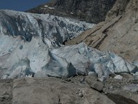 N, Sogn og Fjordane, Luster, Nigardsbreen 22, Saxifraga-Jan van der Straaten