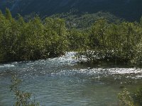 N, Sogn og Fjordane, Luster, Nigardsbreen 28, Saxifraga-Jan van der Straaten