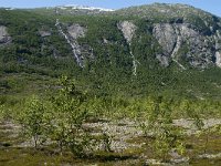 N, Sogn og Fjordane, Luster, Nigardsbreen 3, Saxifraga-Jan van der Straaten