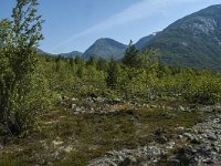 N, Sogn og Fjordane, Luster, Nigardsbreen 30, Saxifraga-Marijke Verhagen