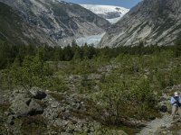 N, Sogn og Fjordane, Luster, Nigardsbreen 31, Saxifraga-Marijke Verhagen