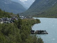 N, Sogn og Fjordane, Luster, Nigardsbreen 6, Saxifraga-Jan van der Straaten