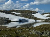 N, Sogn og Fjordane, Luster, Sognefjellet 3, Saxifraga-Marijke Verhagen