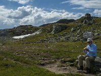 N, Sogn og Fjordane, Luster, Sognefjellet 5, Saxifraga-Marijke Verhagen