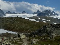 N, Sogn og Fjordane, Luster, Sognefjellet 7, Saxifraga-Marijke Verhagen