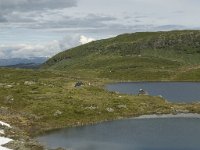 N, Sogn og Fjordane, Sogndal, Fagreggi 3, Saxifraga-Willem van Kruijsbergen