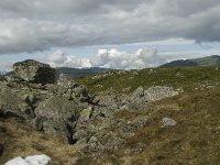 N, Sogn og Fjordane, Sogndal, Fagreggi 8, Saxifraga-Willem van Kruijsbergen