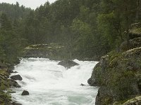 N, Sogn og Fjordane, Sogndal, Olnes 3, Saxifraga-Willem van Kruijsbergen