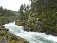 N, Sogn og Fjordane, Sogndal, Olnes 4, Saxifraga-Willem van Kruijsbergen