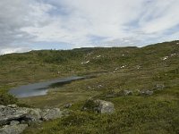 N, Sogn og Fjordane, Sogndal, Rysete 10, Saxifraga-Willem van Kruijsbergen