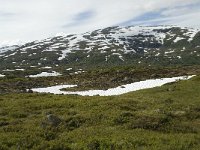 N, Sogn og Fjordane, Sogndal, Rysete 2, Saxifraga-Willem van Kruijsbergen