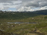 N, Sogn og Fjordane, Sogndal, Rysete 4, Saxifraga-Willem van Kruijsbergen