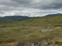 N, Sogn og Fjordane, Sogndal, Rysete 6, Saxifraga-Willem van Kruijsbergen