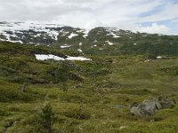 N, Sogn og Fjordane, Sogndal, Rysete 8, Saxifraga-Willem van Kruijsbergen