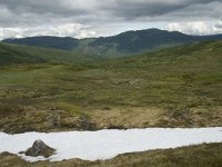 N, Sogn og Fjordane, Sogndal, Rysete 9, Saxifraga-Willem van Kruijsbergen