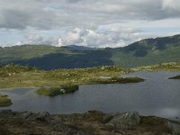 N, Sogn og Fjordane, Sogndal, Skavasshaugane 1, Saxifraga-Willem van Kruijsbergen